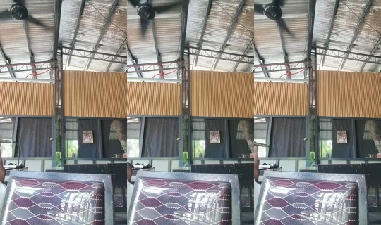 wingsday06 TikTok Live — Aug 25, 2026, 5:02 AM
