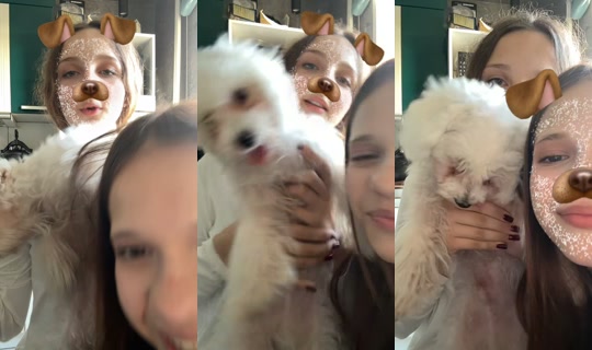 wld136769 TikTok Live — Sep 28, 2026, 11:01 AM