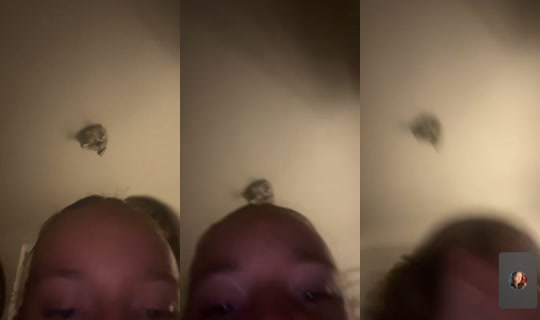 worlds.vlogsx TikTok Live — Aug 26, 2026, 10:26 PM