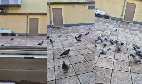 wwwveraaaa TikTok Live — Oct 4, 2026, 5:55 AM