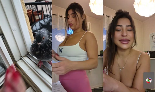 wwwveraaaa TikTok Live — Oct 8, 2026, 2:54 PM