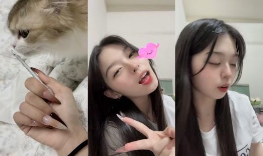 xin_kabi TikTok Live — Oct 8, 2026, 5:38 PM