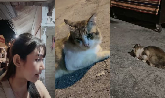 xinerr.666 TikTok Live — Aug 25, 2026, 12:10 PM