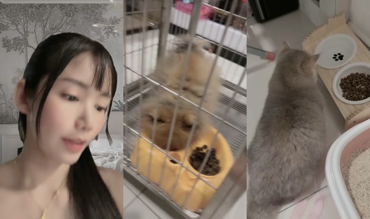 xinerr.666 TikTok Live — Sep 28, 2026, 2:54 PM