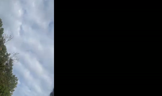 xoxo.trac3y TikTok Live — Sep 3, 2026, 1:10 PM