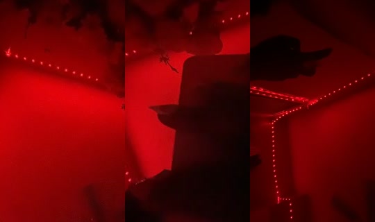 xoxo_diorrr TikTok Live — Sep 10, 2026, 8:20 AM