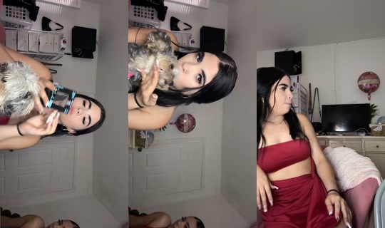 xoxo_hailyy TikTok Live — Aug 28, 2026, 10:56 PM