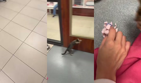 xxesmeisgodxx TikTok Live — Sep 3, 2026, 5:21 PM