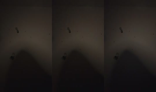 xxsocialmedia2xx TikTok Live — Sep 7, 2026, 6:00 AM
