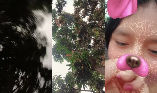 yamileth.galicia22 TikTok Live — Sep 30, 2026, 11:05 PM