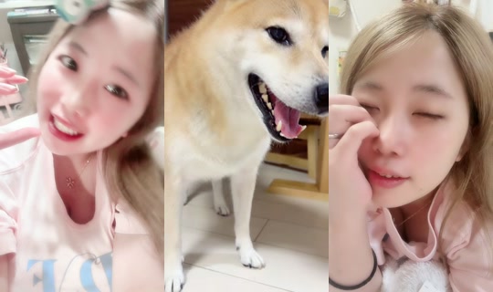yareba_dekiruko7 TikTok Live — Sep 3, 2026, 3:01 PM