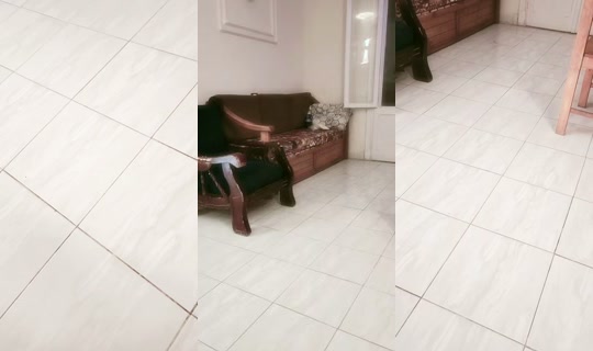 yasmeinahmed11 TikTok Live — Aug 22, 2026, 2:41 AM