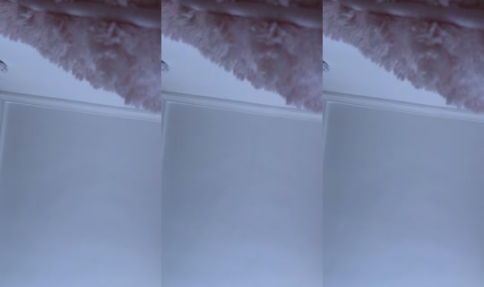 yctup1 TikTok Live — Sep 2, 2026, 11:47 AM