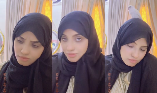yellowheart337 TikTok Live — Aug 31, 2026, 8:19 AM