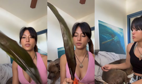 yesplslex TikTok Live — Sep 1, 2026, 12:07 AM
