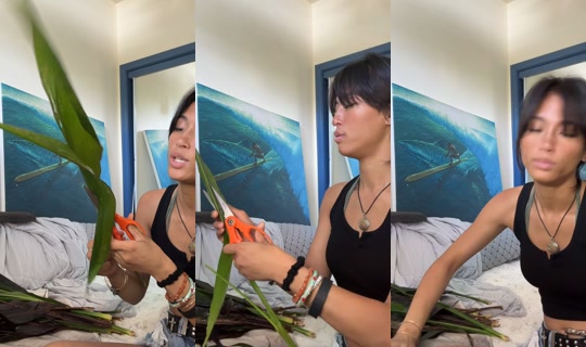 yesplslex TikTok Live — Sep 1, 2026, 12:55 AM