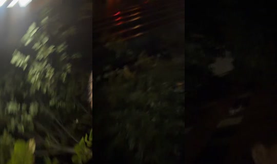 you.fuckin.dweeb TikTok Live — Oct 5, 2026, 4:05 AM