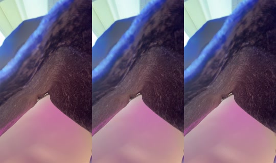 yourcrushdemi_x TikTok Live — Oct 1, 2026, 12:44 PM