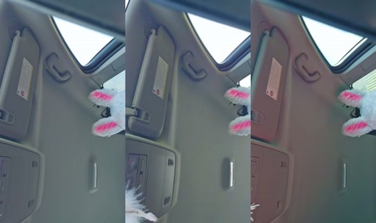 yuecel.elisabeth TikTok Live — Sep 30, 2026, 12:58 PM