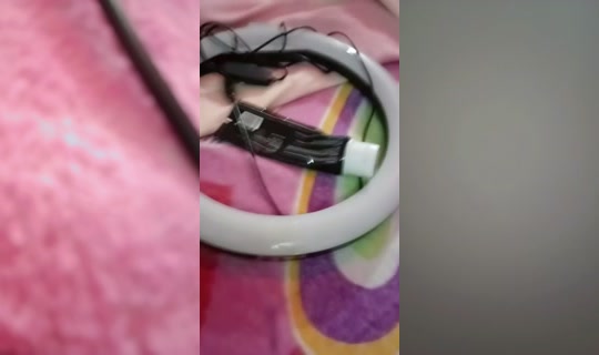 yulisexy69 TikTok Live — Sep 13, 2026, 4:16 AM