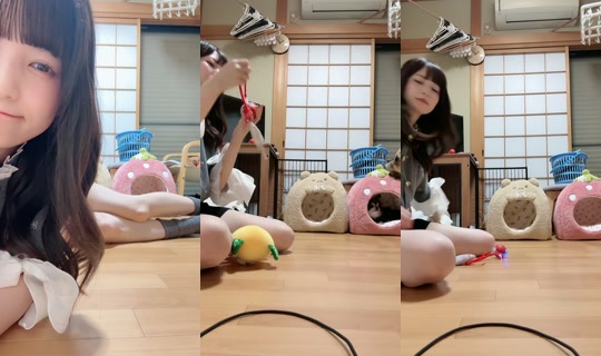 yupichan.10 TikTok Live — Sep 20, 2026, 11:11 AM