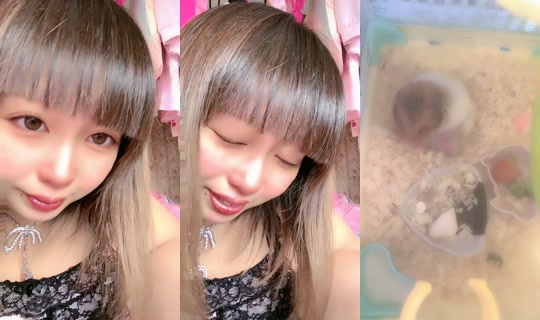yuuyuunohua TikTok Live — Sep 29, 2026, 6:08 AM