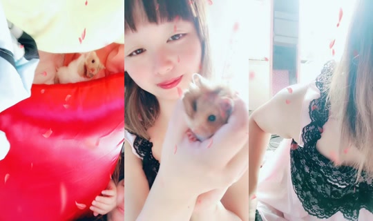 yuuyuunohua TikTok Live — Sep 29, 2026, 11:38 PM