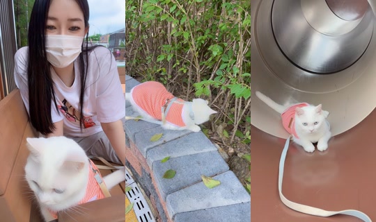 z89682 TikTok Live — Aug 27, 2026, 4:53 AM