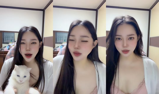 z89682 TikTok Live — Aug 27, 2026, 2:40 PM