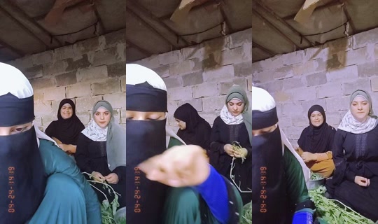 z___x___z1 TikTok Live — Aug 27, 2026, 3:55 PM
