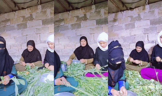 z___x___z1 TikTok Live — Aug 29, 2026, 3:38 PM