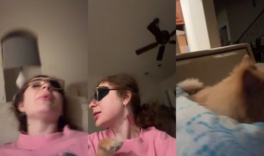 zahrahashemi999 TikTok Live — Sep 13, 2026, 8:01 AM