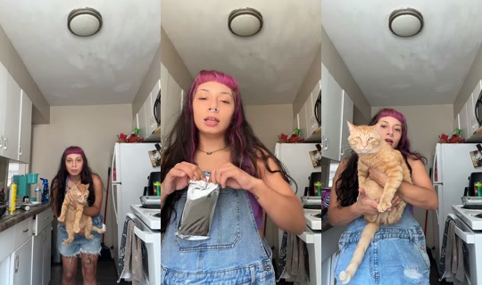 zaidaphoenixx TikTok Live — Sep 6, 2026, 3:53 PM