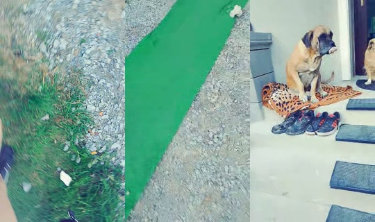 zakreconylook TikTok Live — Oct 4, 2026, 3:16 PM