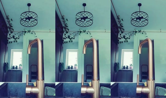 zakreconylook TikTok Live — Oct 7, 2026, 9:53 AM