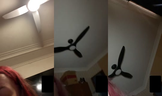 zaylee.bull TikTok Live — Sep 26, 2026, 7:18 AM