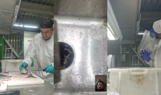 zizobonitto TikTok Live — Oct 2, 2026, 9:44 PM