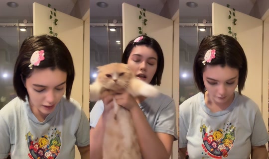 zlncyy TikTok Live — Aug 30, 2026, 12:46 PM
