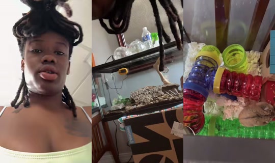 zoe19am TikTok Live — Aug 24, 2026, 5:59 PM