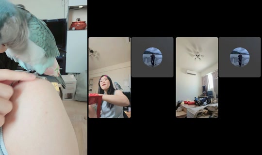 zu88588 TikTok Live — Oct 2, 2026, 3:57 AM