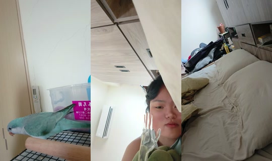 zu88588 TikTok Live — Oct 2, 2026, 5:21 AM