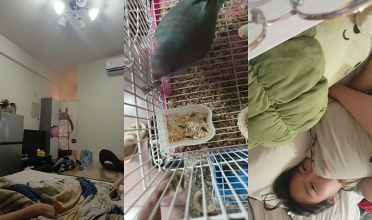 zu88588 TikTok Live — Oct 2, 2026, 5:42 PM