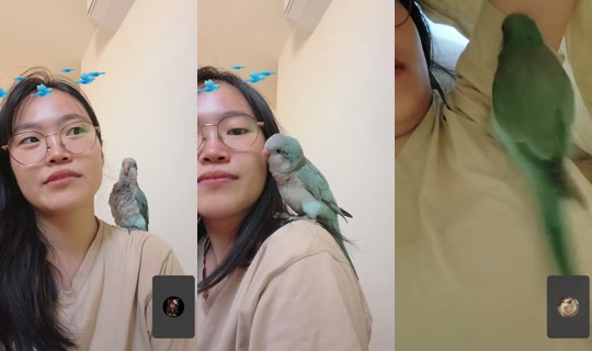 zu88588 TikTok Live — Oct 7, 2026, 4:25 AM