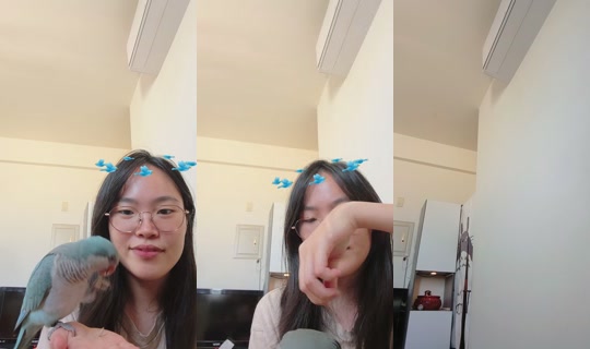 zu88588 TikTok Live — Oct 7, 2026, 5:34 AM