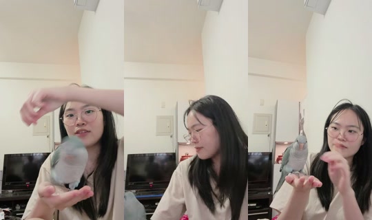 zu88588 TikTok Live — Oct 8, 2026, 11:02 AM