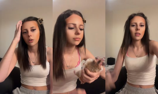 zuttl0kt TikTok Live — Aug 29, 2026, 11:44 PM