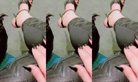 zzcc411 TikTok Live — Sep 30, 2026, 1:10 PM