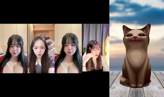 zzz12_033 TikTok Live — Aug 28, 2026, 7:50 AM